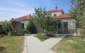 Petra Houses